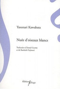 nuee_d_oiseaux_blancs_431